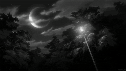 A Black And White Photo Of A Street Light With The Words Tr / Ss Written In White Letters GIF