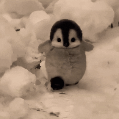 A Black And White Photo Of A Stuffed Penguin Walking In The Snow GIF