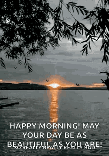 A Black And White Photo Of A Sunset Over A Body Of Water GIF