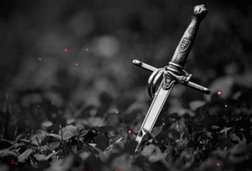 A Black And White Photo Of A Sword With A Shield On The Handle GIF