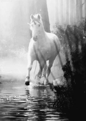 A Black And White Photo Of A Unicorn Running Through A Body Of Water GIF