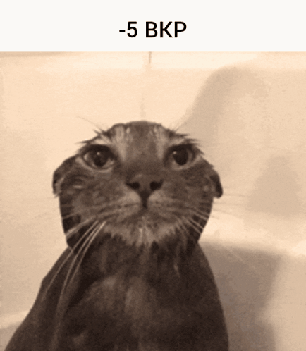 A Black And White Photo Of A Wet Cat With -5 Bkp Written Below It GIF