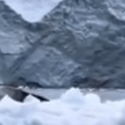 A Black And White Photo Of A Whale Swimming In The Ocean . GIF