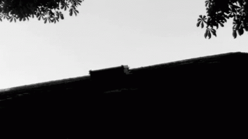 A Black And White Photo Of A Window On A Building GIF