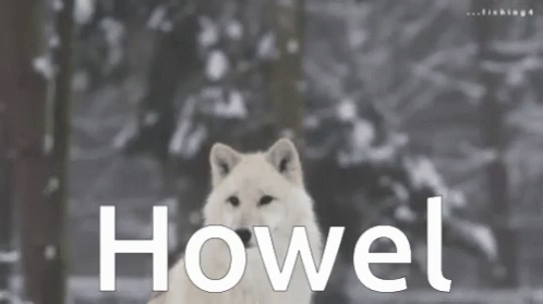 A Black And White Photo Of A Wolf With The Word Howel Written Below It GIF