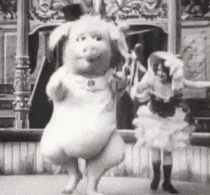 A Black And White Photo Of A Woman Dancing With A Stuffed Animal . GIF