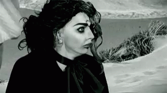 A Black And White Photo Of A Woman In A Black Dress Standing In Front Of A Beach . GIF