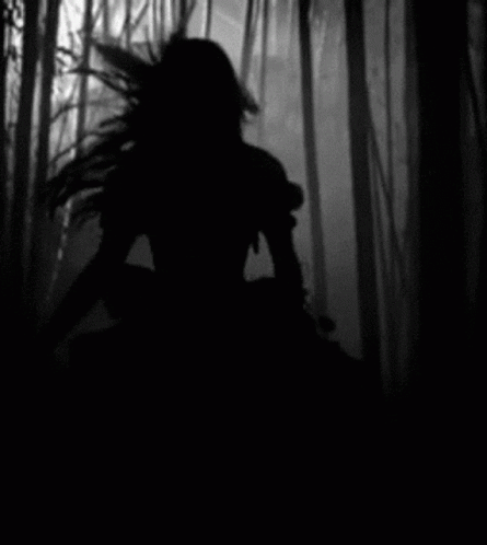 A Black And White Photo Of A Woman In A Dress Walking Through A Forest . GIF
