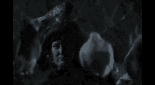 A Black And White Photo Of A Woman In A Witch Hat Holding A Candle . GIF