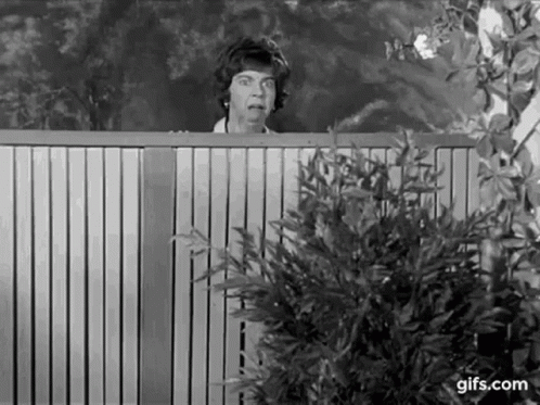 A Black And White Photo Of A Woman Peeking Over A Fence . GIF