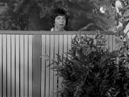 A Black And White Photo Of A Woman Peeking Over A Fence . GIF