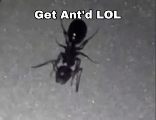 A Black And White Photo Of An Ant With The Words Get Ant 'D Lol Below It GIF