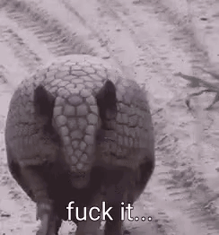 a black and white photo of an armadillo walking in the dirt with the words `` fuck it '' written on it .
