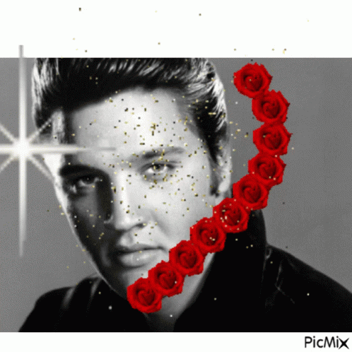 A Black And White Photo Of Elvis Presley With Red Roses Around His Face GIF