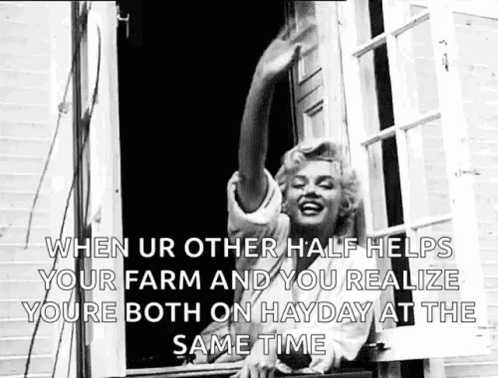 A Black And White Photo Of Marilyn Monroe Standing In A Window . GIF