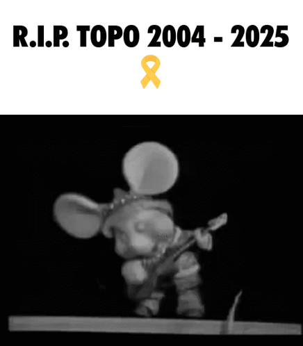 Black And White Photo Of Topo Playing Guitar GIF
