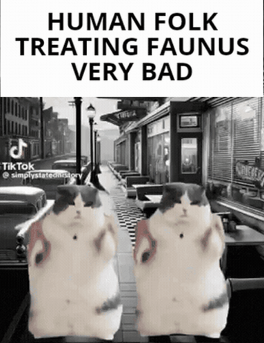 A Black And White Photo Of Two Cats With The Caption " Human Folk Treating Faunus Very Bad " On The Bottom GIF
