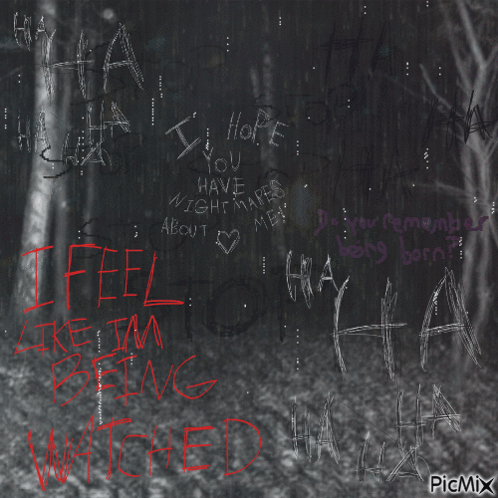 A Black And White Photo With The Words I Feel Like I 'M Being Watched Written In Red GIF