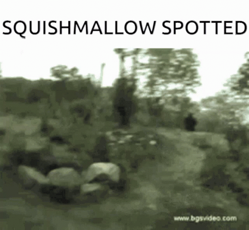 A Black And White Photo With The Words Squishmallow Spotted On The Bottom GIF