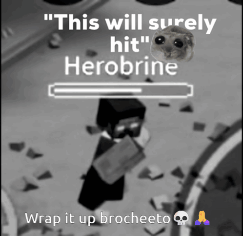 A Black And White Photo With The Words " This Will Surely Hit Herobrine " GIF