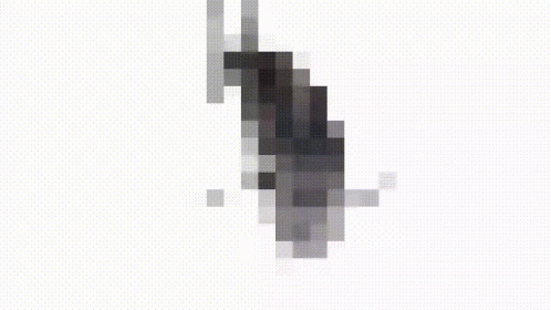 A Black And White Pixel Art Of A Dolphin On A White Background GIF