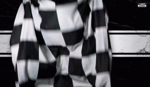 A Black And White Striped Shirt With A Motorsports Logo GIF