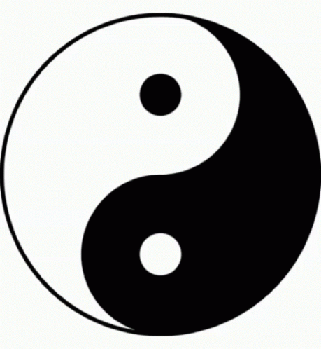 A Black And White Yin Yang Symbol With Two Circles In It GIF