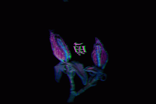 A Black Background With A Purple Flower And The Letter Fa GIF