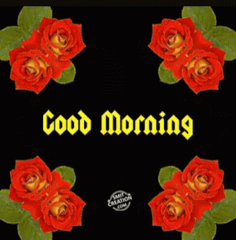 A Black Background With Red Roses And Green Leaves And The Words Good Morning GIF