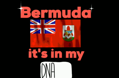 A Black Background With The Words Bermuda It 'S In My Dna On It GIF