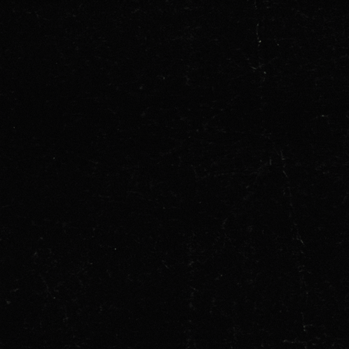 A Black Background With The Words Black History Thrives On Equity On It GIF