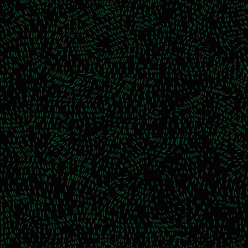 A Black Background With The Words His Name Was George Floyd GIF