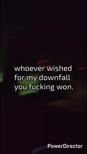 a black background with the words whoever wished for my downfall you fucking won on it