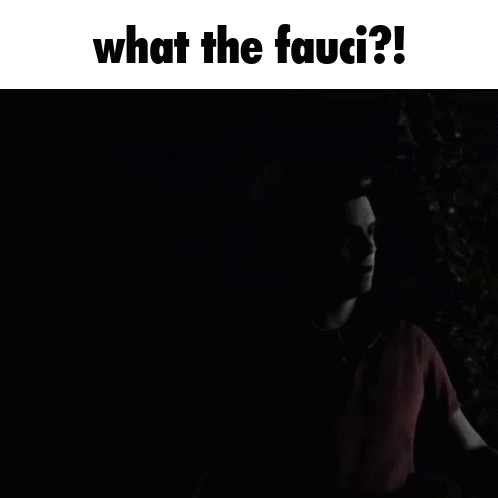 A Black Background With What The Fauci Written On It GIF