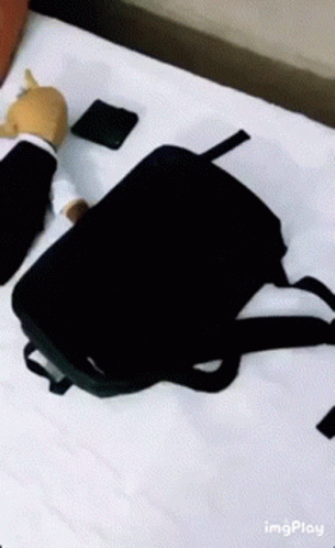 A Black Backpack Is On A Bed Next To A Stuffed Animal In A Suit GIF