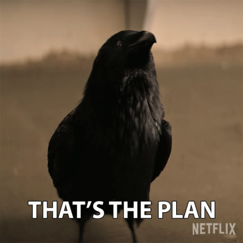 A Black Bird Is Standing Next To The Words That 'S The Plan GIF