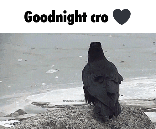 A Black Bird Sitting On A Rock With The Words " Goodnight Cro " Below It GIF