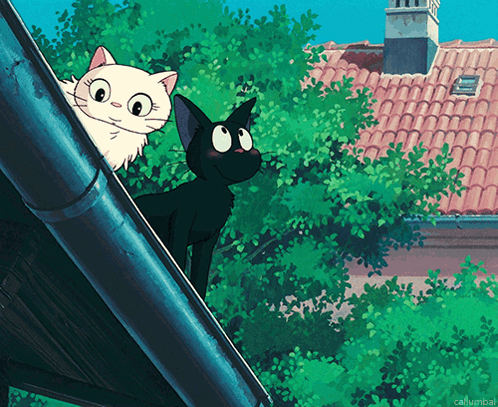 Black And White Cats On Roof With Callumbal Text GIF