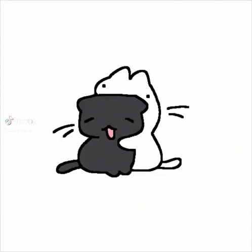 A Black Cat And A White Cat Are Sitting Next To Each Other On A White Background . GIF