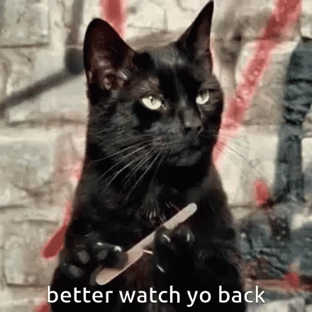 A Black Cat Holding A Nail File With The Words Better Watch Yo Back Below It GIF