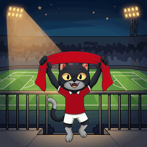 A Black Cat In A Red Shirt Is Holding A Red Scarf In Front Of A Soccer Field GIF