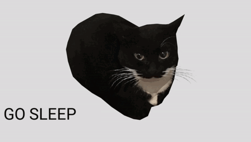 A Black Cat Is Behind A Person Holding A Gun And The Word Now Is Below It GIF