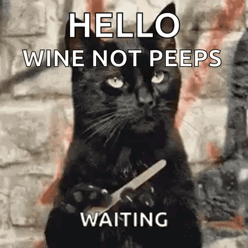 A Black Cat Is Holding A Knife And Fork In Its Paws And Says Hello Wine Not Peeps Waiting . GIF