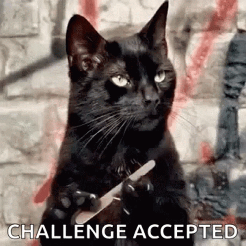 A Black Cat Is Holding A Knife In Its Paws And Says `` Challenge Accepted '' . GIF