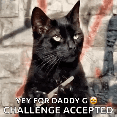 Black Cat Holding Knife Says Yey For Daddy G GIF