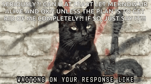 A Black Cat Is Holding A Nail Clipper In Its Paws And Says Seriously ? GIF