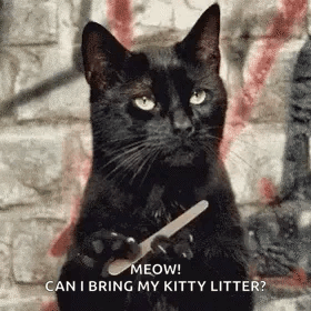 A Black Cat Is Holding A Nail File In Front Of A Brick Wall . GIF