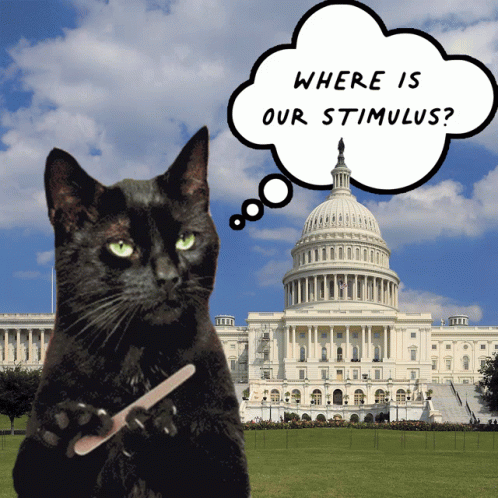 A Black Cat Is Holding A Nail File In Front Of The Capitol Building With A Thought Bubble Asking Where Is Our Stimulus GIF