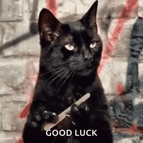 A Black Cat Is Holding A Nail File In Its Paw And Says `` Good Luck '' . GIF