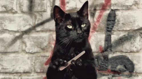 A Black Cat Is Holding A Nail File In Its Paws Against A Brick Wall GIF